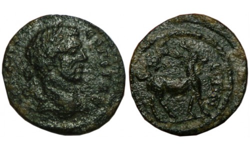 Ionia, Ephesos. Geta, as Caesar, 198-209 AD.  AE 17mm - Rare